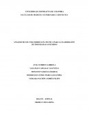 Análisis de Lectura Producción Limpia