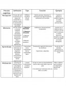 Proceso cognitivo cuadro comparativo