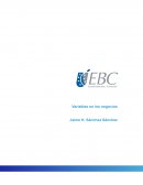 Variables en los negocios