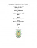 Redes. Conocer un centro de datos