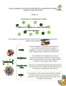 Relación de la asignatura de ciencias naturales con otras asignaturas