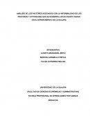 ANÁLISIS DE LOS FACTORES ASOCIADOS CON LA INFORMALIDAD DE LOS PROCESOS Y ACTIVIDADES QUE SE DESARROLLAN EN PUERTO NUEVO EN EL DEPARTAMENTO DE LA GUAJIRA