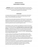 Planificación LOS COLORES nivel inicial