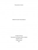 Geografía Turística El Bagre Antioquia