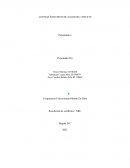 Documento de Análisis del Conflicto