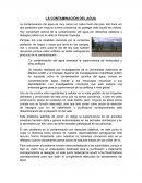 LA CONTAMINACIÓN DEL AGUA