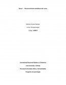 Tarea 1 - Reconocimiento temáticas del curso