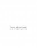 LOGÍSTICA DE DISTRIBUCIÓN: Características, funciones y canales de distribución