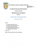 METODOLOGIA IMPUESTOS