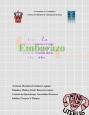 El aborto. El feto "no siente dolor a las 24 semanas"