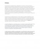 El desarrollo de la actividad ovejera en Magallanes