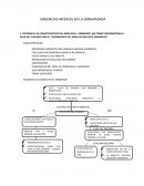 Urgencias medicas en el embarazo