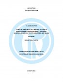 Palacio de justicia reflexión fuentes orales