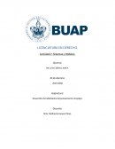 Actividad 7: Sistemas y Modelos