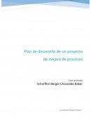 Plan de desarrollo de un proyecto