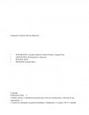 Informe Proceso Inducción