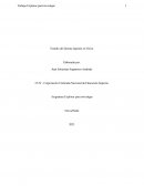 Proceso de investigacion japones