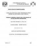 Cierre de diastemas