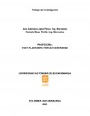 Trabajo de Investigación.La empresa SODIMAC