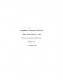 Formulación y Evaluación de Proyectos