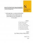 ANÁLISIS DE LA CONCENTRACIÓN DE HUMUS EN EL PROCESO DE CRECIMIENTO DE PHASEOLUS VULGARIS