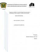Mediación y arbitraje en conflictos internacionales de origen penal / Organismo mediador en asuntos penales internacionales no considerados crimen de guerra o conflicto entre naciones