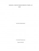 Introducción y evolución de la Ingeniería Industrial en Colombia y en el mundo