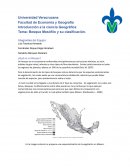 Bosque Mesófilo y su clasificación