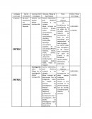 Planificacion Trayecto