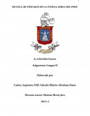 ENSAYO DE TELEVISION BASURA