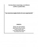 Las neuronas espejo dentro de una organización