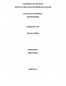 ENSAYO MACROECONOMIA