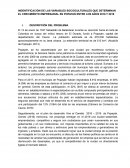 INDENTIFICACIÓN DE LAS VARIABLES SOCIOCULTURALES QUE DETERMINAN EL CRECIMIENTO EMPRESARIAL EN POPAYAN ENTRE LOS AÑOS 2016 Y 2019