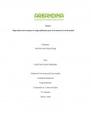 Importancia del concepto de emprendimiento para la formación de un licenciado