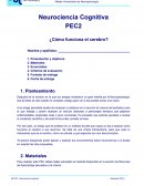 Neurociencia Cognitiva ¿Cómo funciona el cerebro?