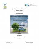 Reporte de revisión del protocolo de investigación