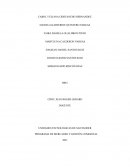 PROGRAMA DE MERCADEO Y GESTIÓN COMERCIAL