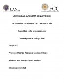 PIA SEGURIDAD ORGANIZACIONAL