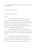 Pirámides alimenticias