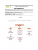 PRIMER TALLER DE ESTADISTICA