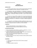 Fisiología celular