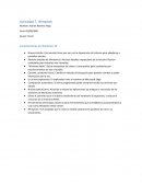 Actividad Características de Windows 10