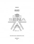 PROYECTO (VELVET) BELLEZA NATURAL