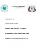 RESUMEN EJECUTIVO Las scronchies