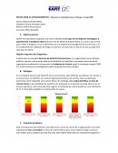 PAUTAS PARA EL AUTODIAGNÓSTICO - Maestría en Administración de Riesgos
