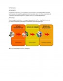 METODOLOGIA. OBSERVACIÓN DIRECTA