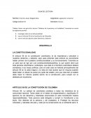 Legislación comercial .Artículo 95 de la Constitución de Colombia