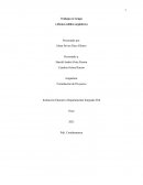 Trabajo en Grupo (Abonos solidos orgánicos)