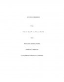 Ciclos de dessarrollo de control embebido