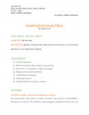 EDUCACIÓN FÍSICA EN EL NIVEL INICIAL